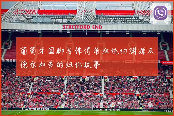 葡萄牙国脚与佛得角血统的渊源及德尔加多的归化故事