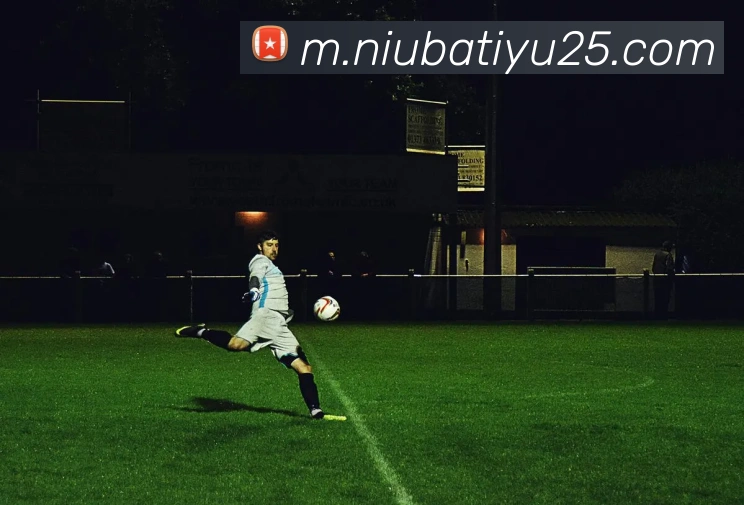 牛八体育发展历程